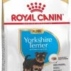 Royal Canin Yorkshire Terrier Junior 1.5 KG -Katten Hondenbenodigdheden Winkel 717x1200 2