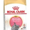 Royal Canin British Shorthair Kitten - 2 Kg 2 Royal Canin British Shorthair Kitten - 2 Kg -Katten Hondenbenodigdheden Winkel 729x1200