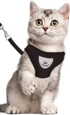 Merkloos Kattentuigje - Kattenharnas - Kattentuig Met Looplijn - Hondentuigje - Hondenharnas - Zwart - Maat S