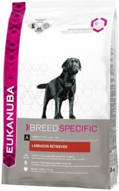 Eukanuba Dog Labrador Retriever - 12 KG -Katten Hondenbenodigdheden Winkel 751x1200 1