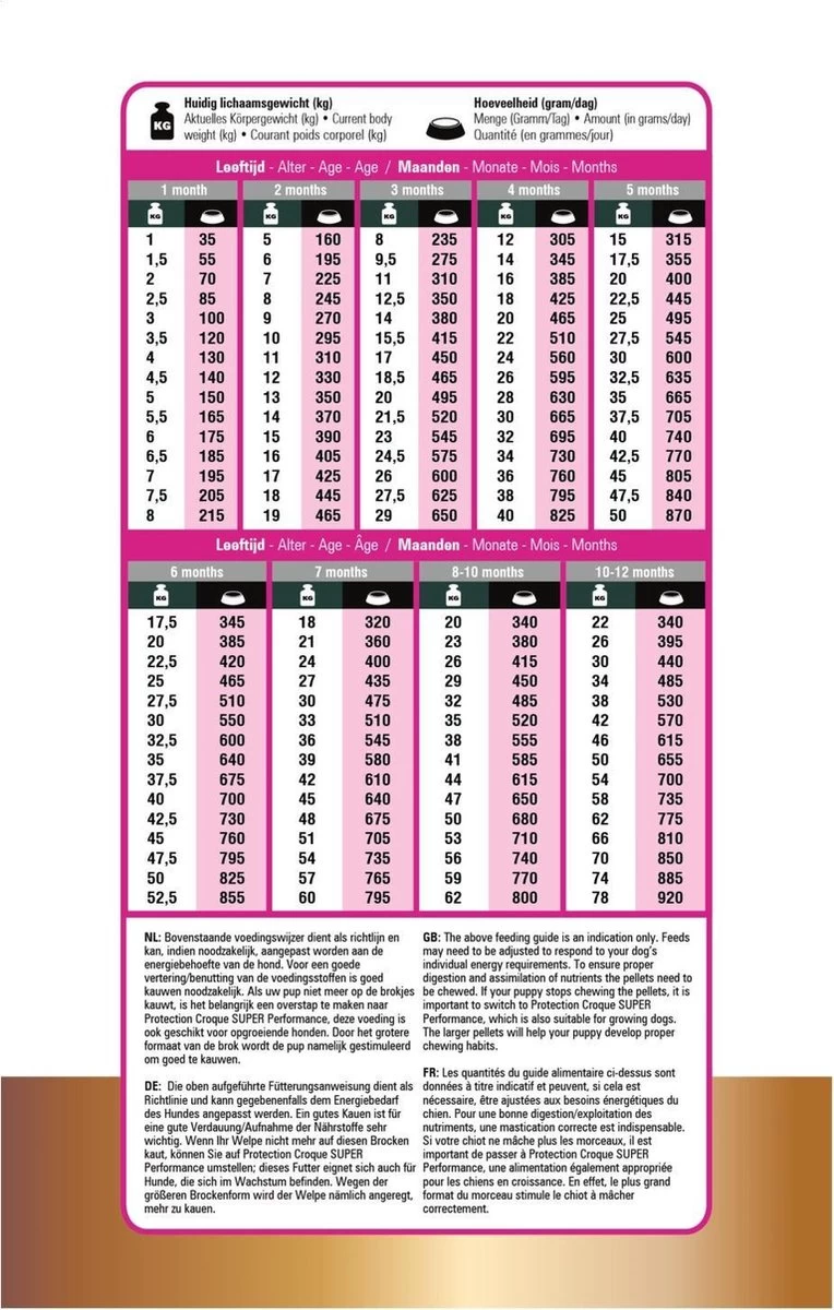 Prins Protection Croque Junior - Performance - Hondenvoer - 10 Kg 8 Prins Protection Croque Junior - Performance - Hondenvoer - 10 Kg - Afbeelding 6