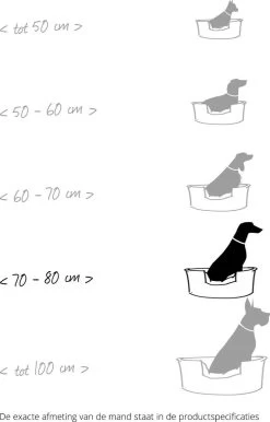 Katten Hondenbenodigdheden Winkel 3 Katten Hondenbenodigdheden Winkel -Katten Hondenbenodigdheden Winkel 767x1200 4