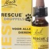Bach Rescue Remedy Pets Druppels - Dieren Antistressmiddel - 10 Ml -Katten Hondenbenodigdheden Winkel 787x1200
