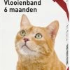 Beaphar Vlooienband Kat - Rood - 1 Stuk -Katten Hondenbenodigdheden Winkel 790x1200 2
