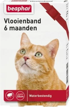 Beaphar Vlooienband Kat - Rood - 1 Stuk