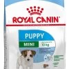 Royal Canin Mini Junior 8 KG -Katten Hondenbenodigdheden Winkel 793x1200 1