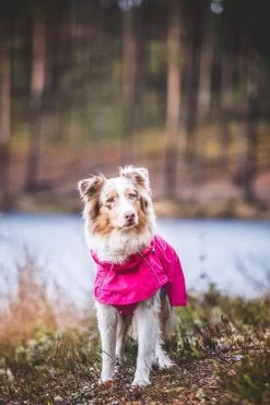 Rukka Pets Hase Raincoat - Lichtgewicht Hondenregenjas - In 2 Kleuren En 9 Maten - Kleur: Roze, Maat: Maat 40 -Katten Hondenbenodigdheden Winkel 799x1200 1