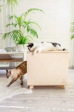 Catandwood Kattenhuis - Kattenbakcontainer - Kattenbak Ombouw - Hout -Katten Hondenbenodigdheden Winkel 799x1200 5