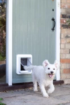 SureFlap Microchip - Kattenluik - Wit - L - 18 X 17 Cm -Katten Hondenbenodigdheden Winkel 800x1200 22