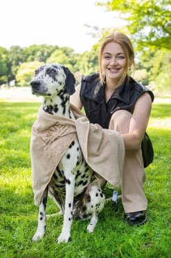 Pepets© – Hondenhanddoek – Honden Handdoek – Microvezel Handdoek – Handdoek Hond – Hondendeken – Droogdoek Hond – Dierendeken – Absorberend – 100*50CM - Beige - GRATIS Zonnebril -Katten Hondenbenodigdheden Winkel 800x1200 5