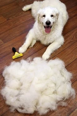 Furminator® Hond Langhaar - Vermindert Haaruitval Tot 90% - Hondenborstel - L -Katten Hondenbenodigdheden Winkel 800x1200 6