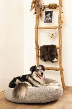 Beeztees Orthopedische Hondenmand Jaxx Grijs 70 Cm - Hond -Katten Hondenbenodigdheden Winkel 801x1200 2