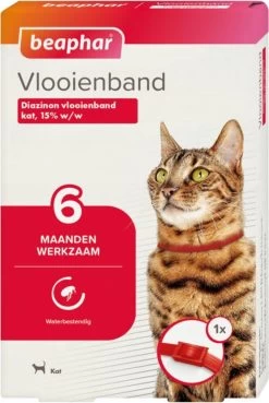 Beaphar Vlooienband Kat - Rood - 1 Stuk -Katten Hondenbenodigdheden Winkel 804x1200 3