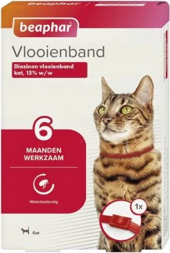 Beaphar Vlooienband Kat - Rood - 1 Stuk -Katten Hondenbenodigdheden Winkel 807x1200 2