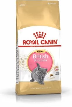 Royal Canin British Shorthair Kitten - 2 Kg -Katten Hondenbenodigdheden Winkel 809x1200 1