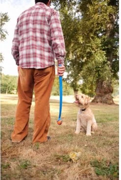 Chuckit! Chuckit Pro Ball - Werpstok - Apporteren- 25m Ver - 63 Cm -Katten Hondenbenodigdheden Winkel 813x1200