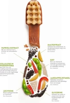 Whimzees Tandenborstel Hondensnack - 6,5 Cm - 48 Stuks -Katten Hondenbenodigdheden Winkel 820x1200 3