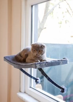 Hobipets - Kattenmand Raam - 5 Zuignappen - Hangmat Kat Raam 8 Hobipets - Kattenmand Raam - 5 Zuignappen - Hangmat Kat Raam -Katten Hondenbenodigdheden Winkel 857x1200 3