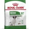Royal Canin Mini Adult 8+ - Hondenvoer - 800 G 2 Royal Canin Mini Adult 8+ - Hondenvoer - 800 G -Katten Hondenbenodigdheden Winkel 877x1200