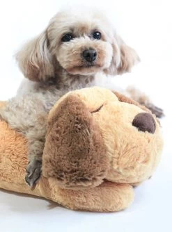 Knuffel Met Hartslag 2023 Voor Puppy's - Zacht Speelgoed - Hondenknuffel Met Hartslag - Wonderknuffel Snuggle Puppy - Knuffel Hond -Katten Hondenbenodigdheden Winkel 888x1200 1