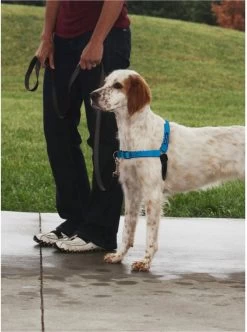 Petsafe Easy Walk® Deluxe Harness - Hondentuigje - Blauw - M - 1,8 M -Katten Hondenbenodigdheden Winkel 894x1200