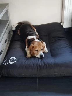 Hondenkussen XXXL -Donkergrijs - 85 X 120 X 14 -Katten Hondenbenodigdheden Winkel 900x1200 16