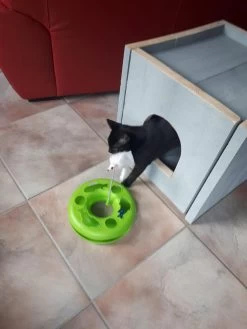 Bronneger Exclusive - Kattenhuis - XXL - Kattenbak Ombouw Kast - Kattenmand -Katten Hondenbenodigdheden Winkel 900x1200 25