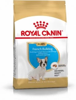 Royal Canin French Bulldog Junior 3 KG -Katten Hondenbenodigdheden Winkel 912x1200