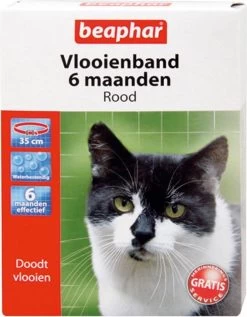Beaphar Vlooienband Kat - Rood - 1 Stuk -Katten Hondenbenodigdheden Winkel 934x1200