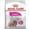 Royal Canin Ccn Exigent Mini - Hondenvoer - 1 Kg 2 Royal Canin Ccn Exigent Mini - Hondenvoer - 1 Kg -Katten Hondenbenodigdheden Winkel 950x1200