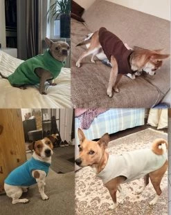 Merkloos Hondenjas - Hondentrui - Hondenjasjes Voor Hondjes - Hondenkleding - Fleece - Bruin - S -Katten Hondenbenodigdheden Winkel 953x1200