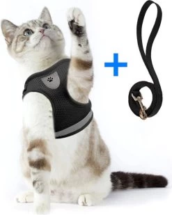 Ease Store Kattentuigje – Maat S – Met Looplijn – Kittentuigje – Dierentuigje – Hondentuigje – Reflecterend – Zwart 10 Ease Store Kattentuigje – Maat S – Met Looplijn – Kittentuigje – Dierentuigje – Hondentuigje – Reflecterend – Zwart -Katten Hondenbenodigdheden Winkel 960x1200 2