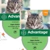Bayer Advantage 40 Kat 4 Pip - Anti Vlooienmiddel - 2 X 0.4 Ml - 0 - 4 Kg -Katten Hondenbenodigdheden Winkel 965x1200 1