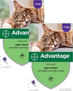 Bayer Advantage 80 Kat 4 Pip - Anti Vlooienmiddel - 2 X 0.8 Ml - > 4 Kg -Katten Hondenbenodigdheden Winkel 965x1200 2