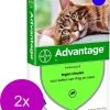 Bayer Advantage 80 Kat 4 Pip - Anti Vlooienmiddel - 2 X 0.8 Ml - > 4 Kg -Katten Hondenbenodigdheden Winkel 968x1200 1