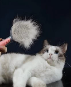 Pakeway T9 - Kattenborstel - Zelfreinigende Kattenkam - Groen - Massageborstel - 19,3 Cm 22 Pakeway T9 - Kattenborstel - Zelfreinigende Kattenkam - Groen - Massageborstel - 19,3 Cm -Katten Hondenbenodigdheden Winkel 983x1200 2