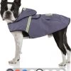 Bella & Balu Hondenregenjas - Waterdichte Hondenjas Met Capuchon En Reflectoren Voor Droge, Veilige Wandelingen, De Hondenspeeltuin En Vakanties Met Hond (S | Grijs) -Katten Hondenbenodigdheden Winkel 993x1200