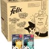 Felix Cat Snacks Party Mix - Kattensnacks Original En Seaside - 16 X 60g -Katten Hondenbenodigdheden Winkel 998x1200 2